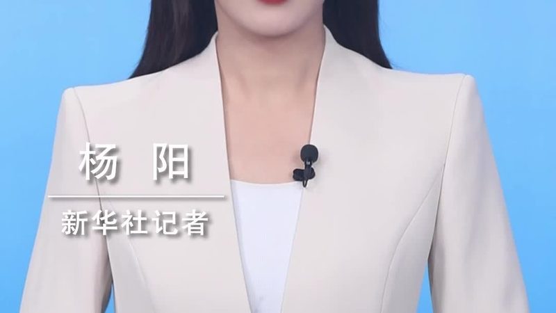 性能测试监控指标解析：关键参数全揭秘**